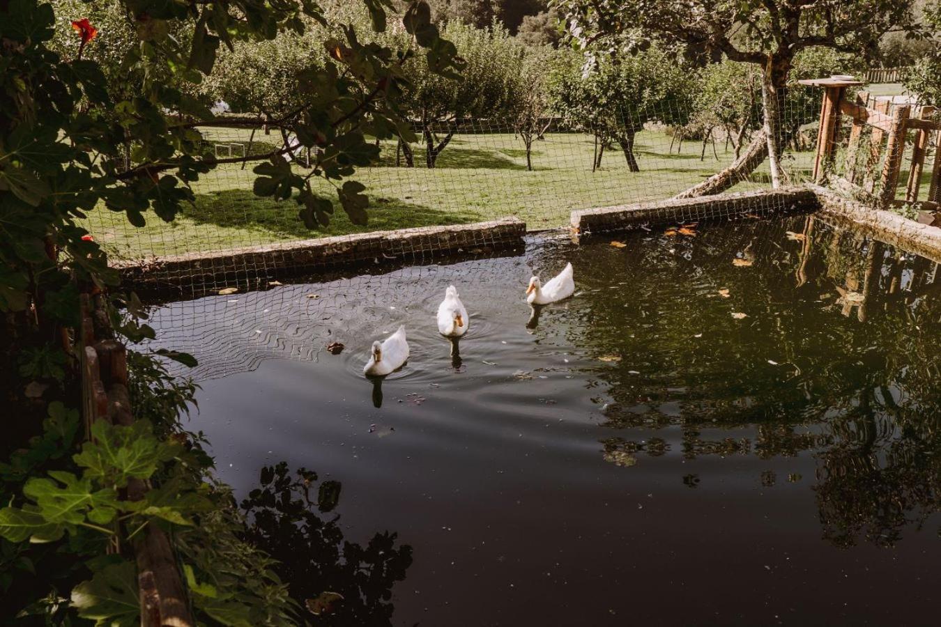 ホテル Pazo De Bendoiro エクステリア 写真